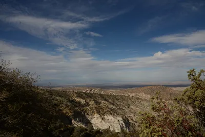 DSC_6292 (Large).JPG